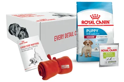 puppy welcome box v2