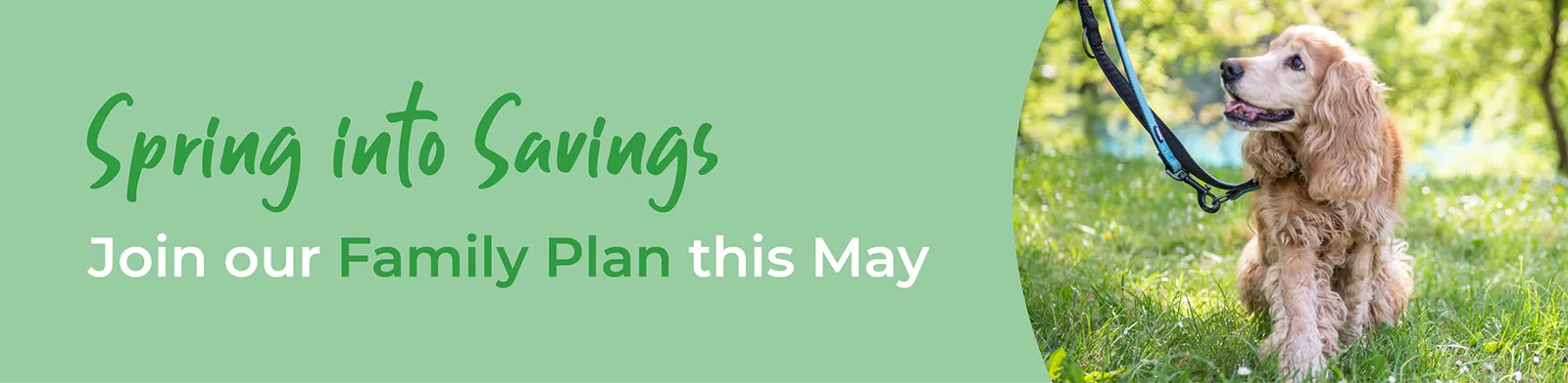 Vet4Life Family Plan | Pet Health & Care Scheme