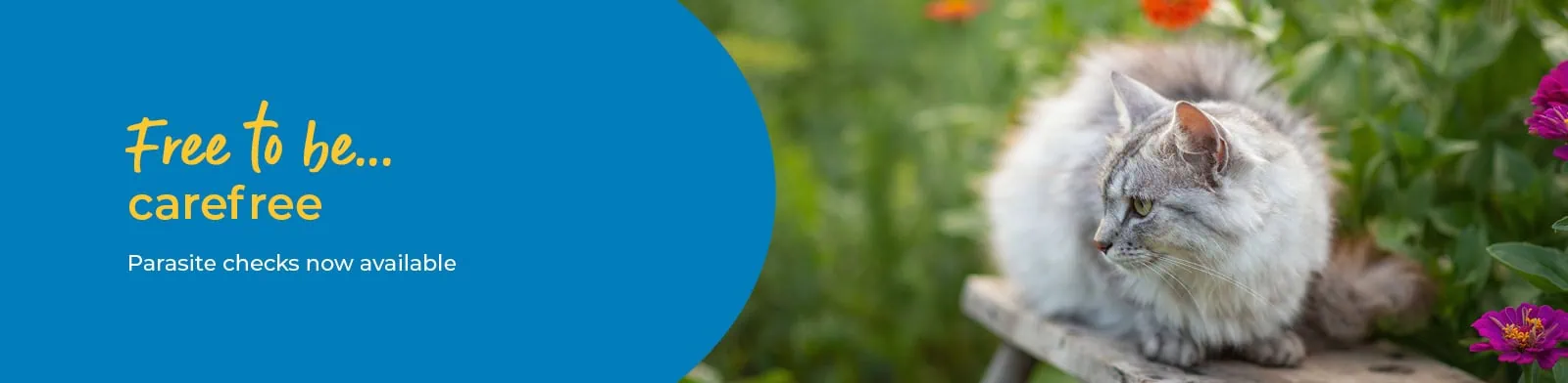 Parasite Prevention & Protection at Vet4life