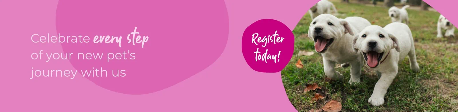 Welcoming your new puppy or kitten