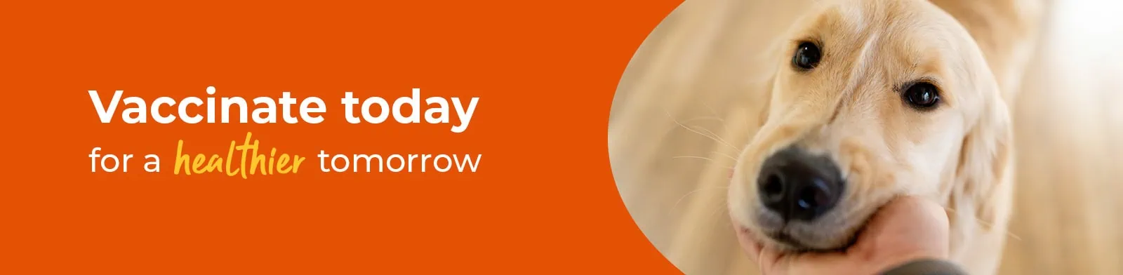 Pet Vaccinations | Vet4Life Veterinary Services