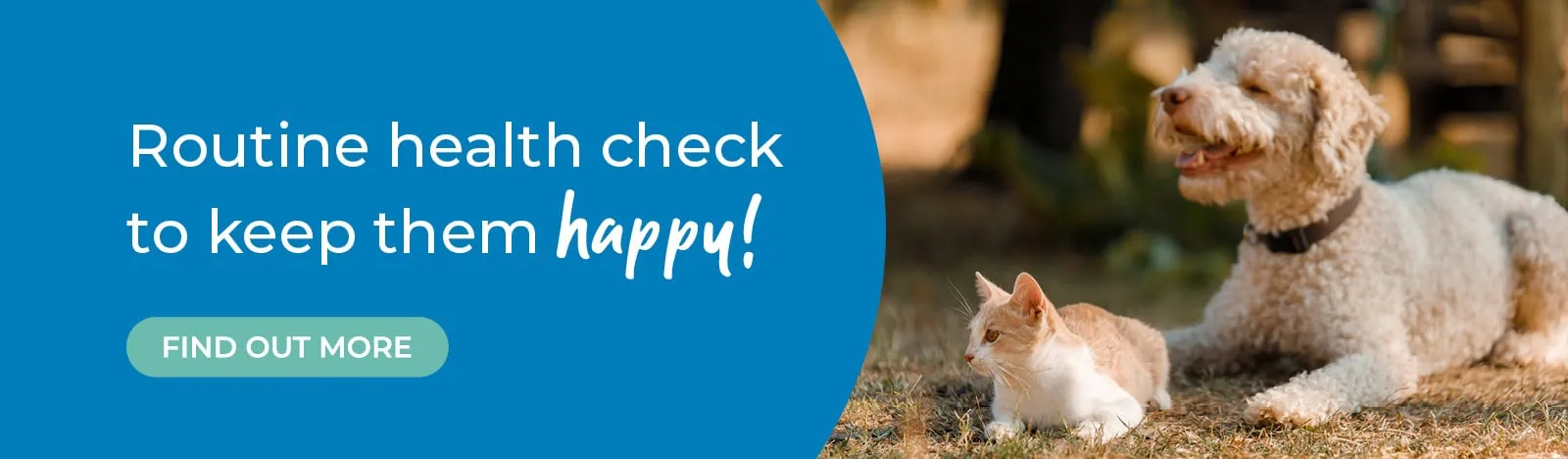 The best vets in Teddington, Shepperton and Surbiton - Vet4Life