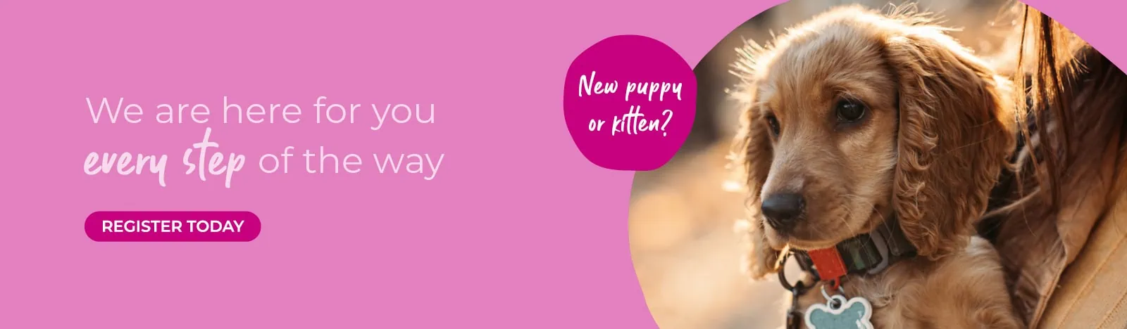 The best vets in Teddington, Shepperton and Surbiton - Vet4Life